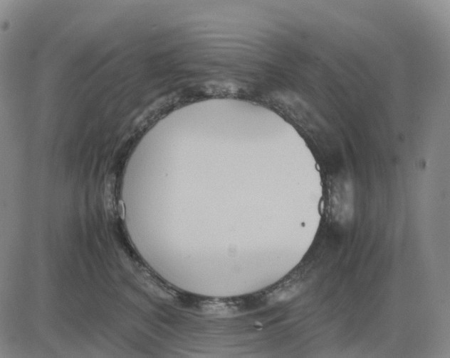 X0000083010616200702231814