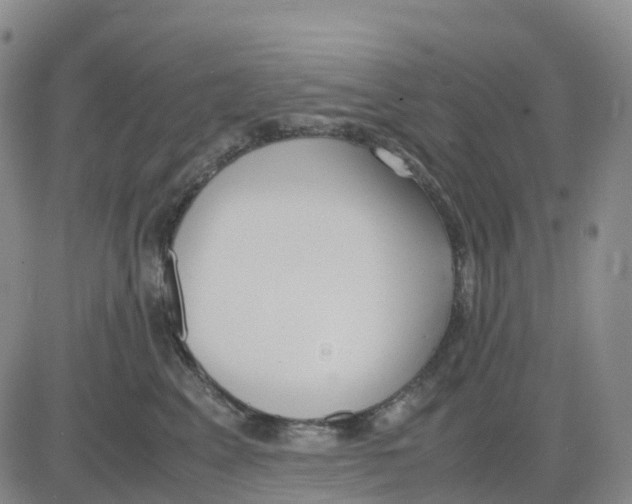 X0000083010617200702231814