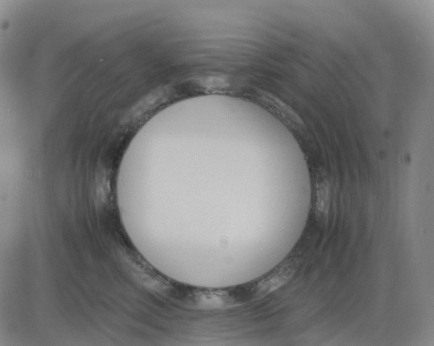 X0000083010618200702231814