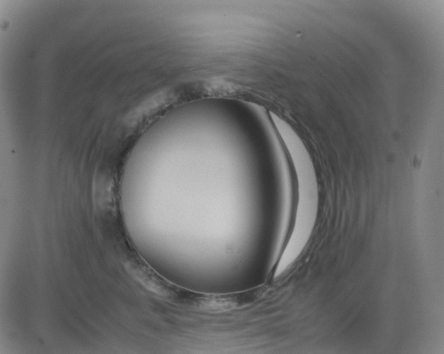 X0000083010619200702231814