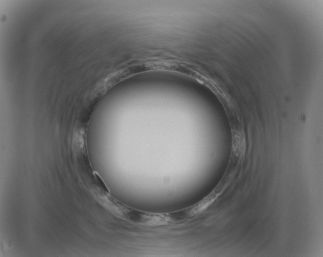 X0000083010621200702231814