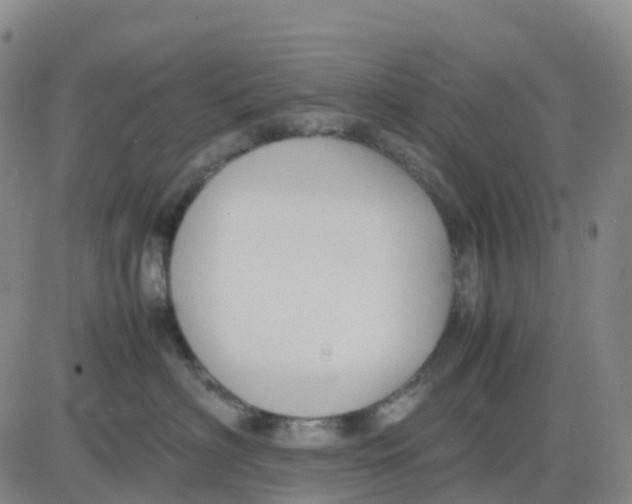 X0000083010622200702231814