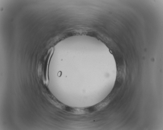 X0000083010623200702231814