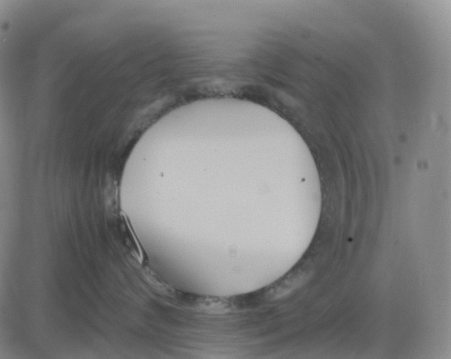 X0000083010624200702231814