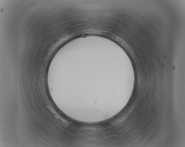 X0000083010625200702231813