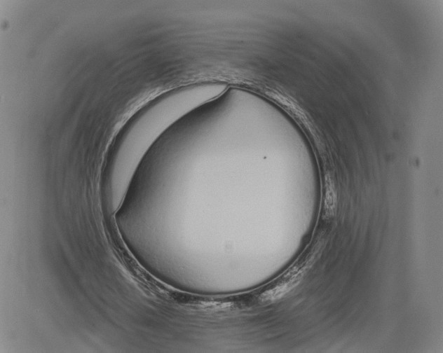 X0000083010626200702231813