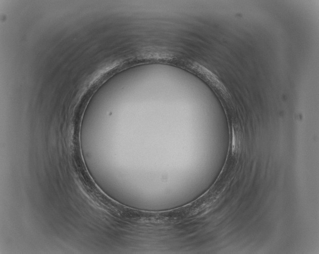 X0000083010627200702231813