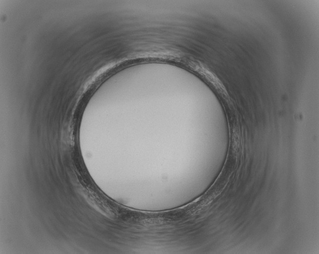 X0000083010628200702231813