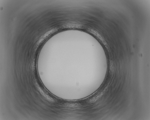 X0000083010629200702231813