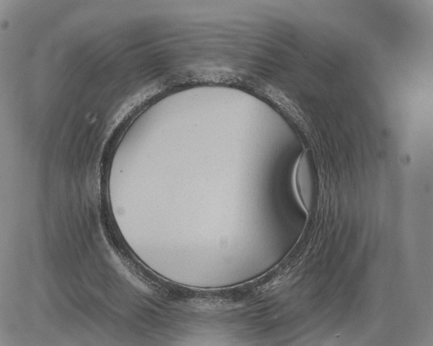 X0000083010630200702231813