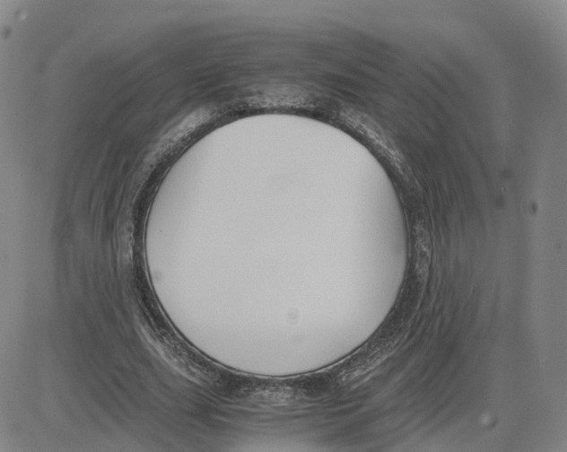 X0000083010631200702231813