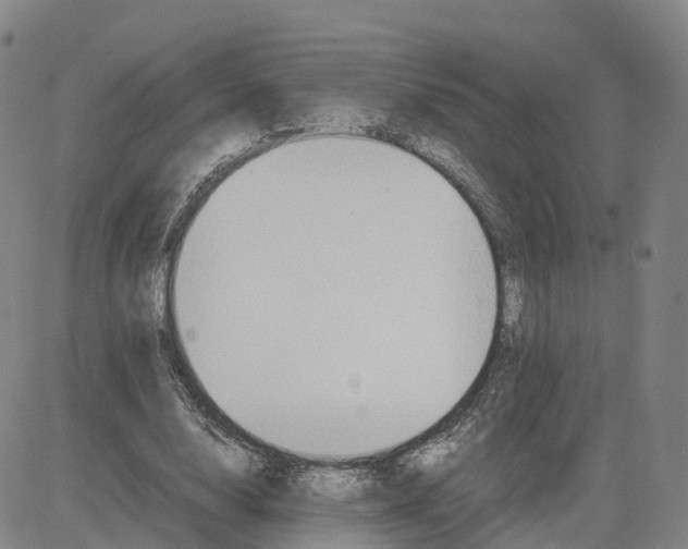 X0000083010632200702231813