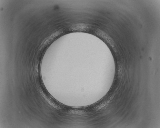 X0000083010633200702231813