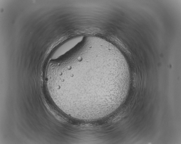 X0000083010634200702231813