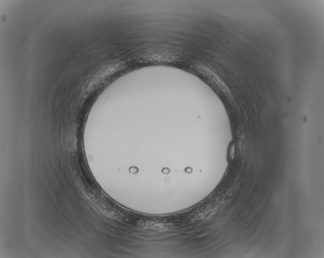 X0000083010635200702231813