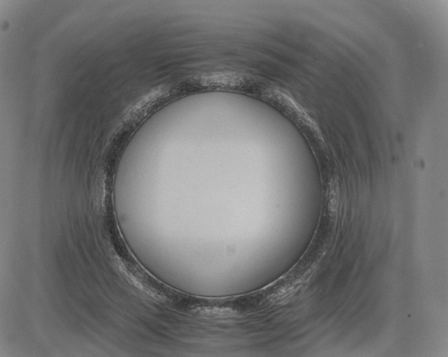 X0000083010637200702231813