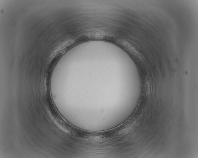 X0000083010638200702231813