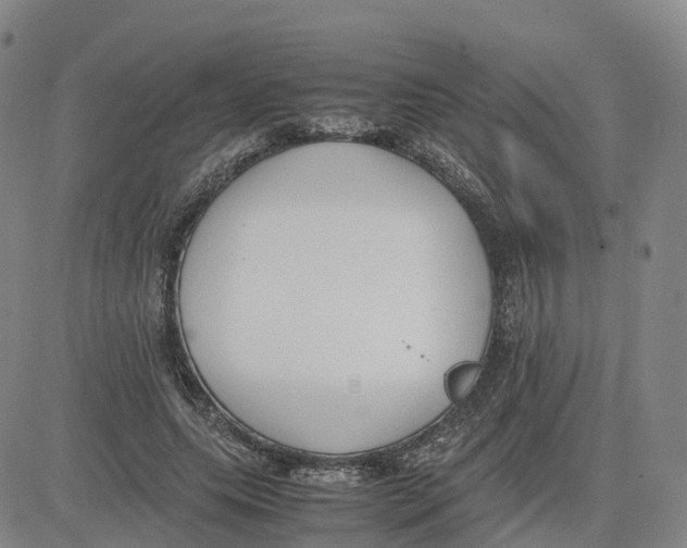 X0000083010639200702231813