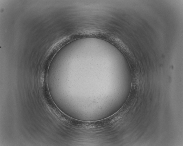 X0000083010640200702231813