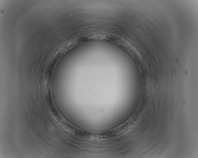 X0000083010641200702231813