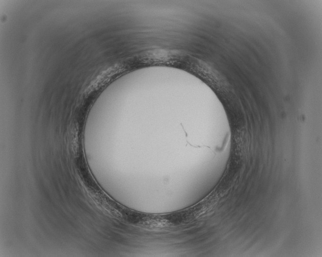 X0000083010642200702231813