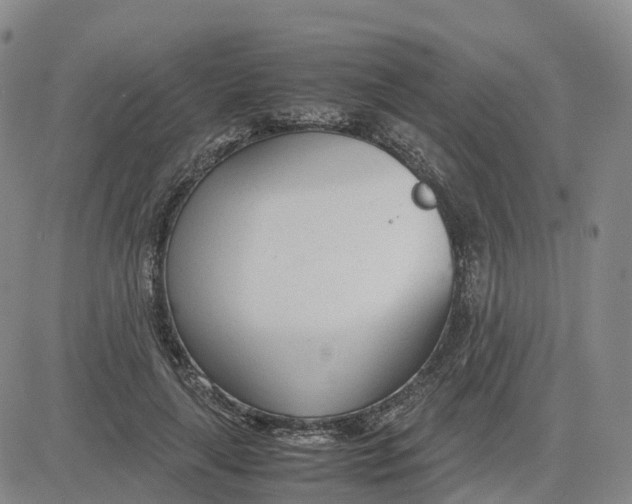 X0000083010643200702231813