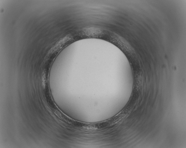 X0000083010644200702231813