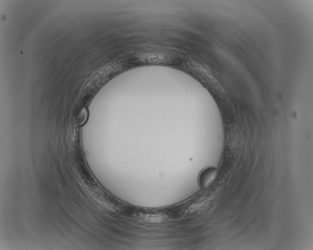 X0000083010645200702231813