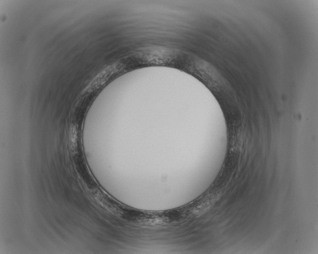 X0000083010646200702231813