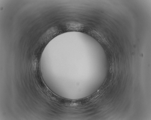 X0000083010647200702231813