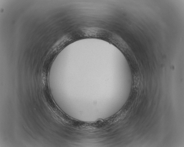 X0000083010648200702231813