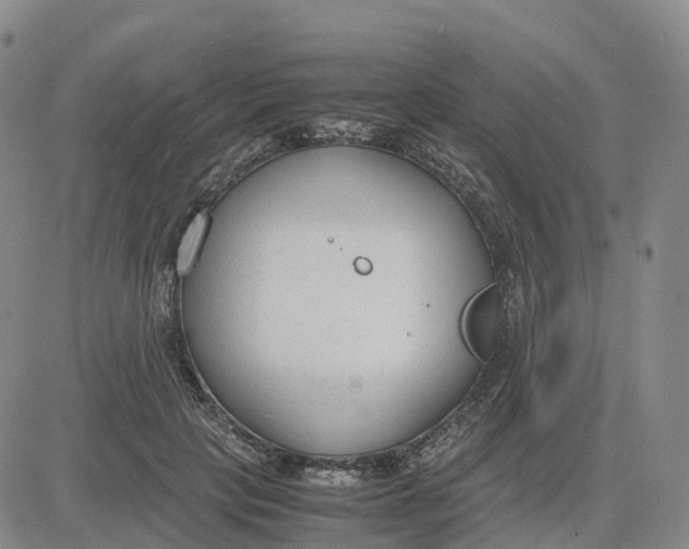 X0000083010649200702231813