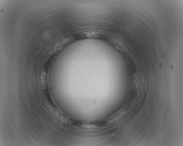 X0000083010650200702231813