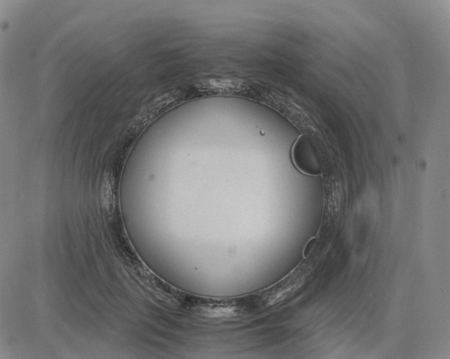 X0000083010651200702231813