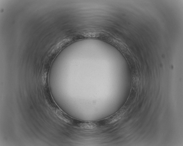 X0000083010652200702231813