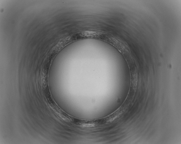 X0000083010653200702231813