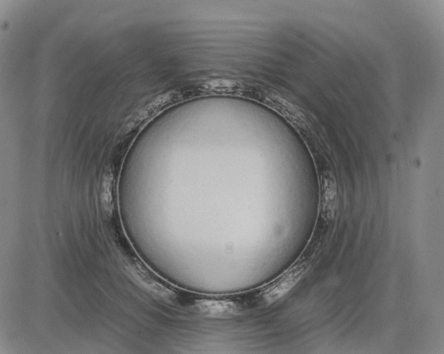 X0000083010654200702231813