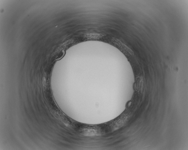 X0000083010655200702231813