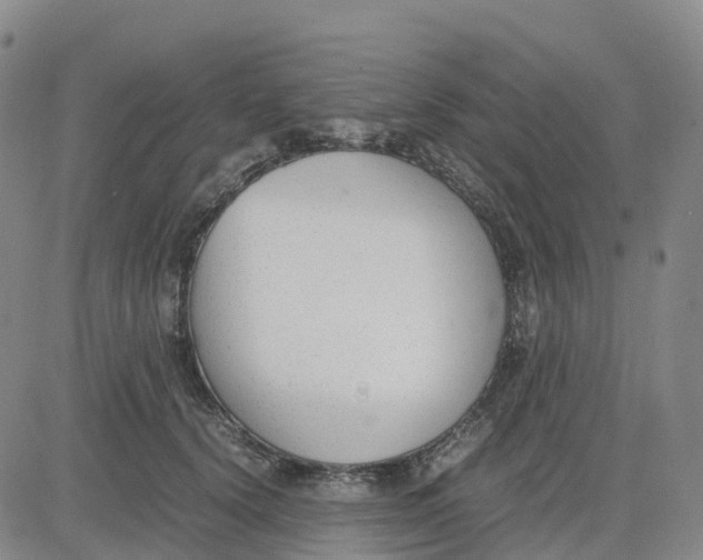 X0000083010656200702231813