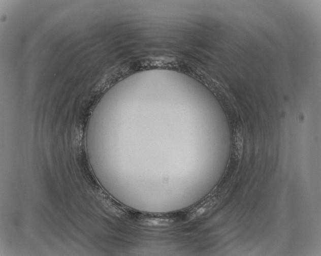 X0000083010657200702231813