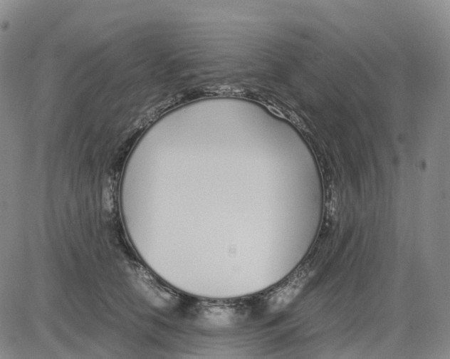 X0000083010658200702231813