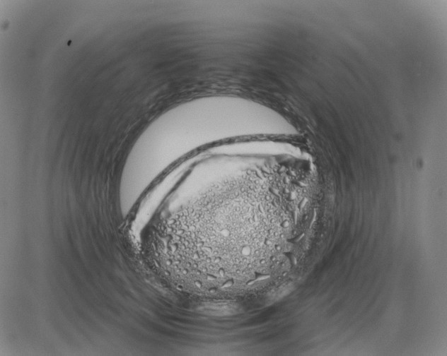 X0000083010659200702231813