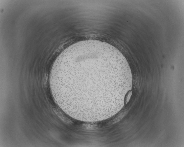 X0000083010660200702231814