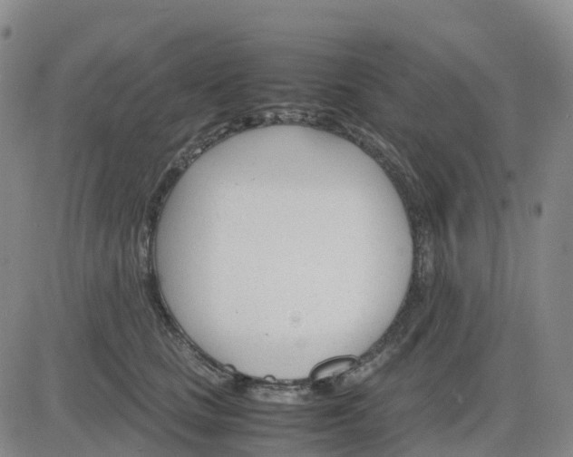 X0000083010661200702231814