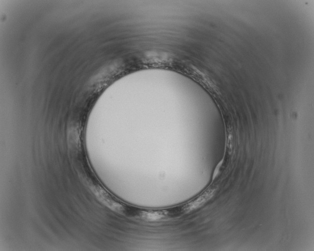 X0000083010662200702231814