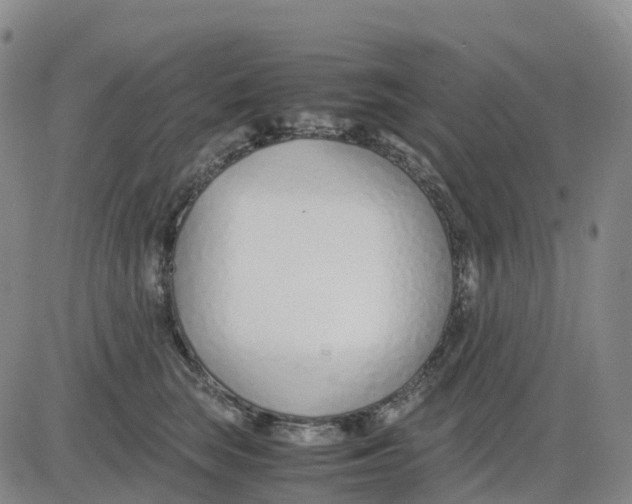 X0000083010663200702231814