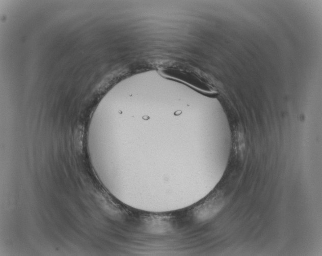 X0000083010664200702231814