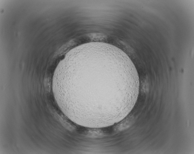 X0000083010666200702231814