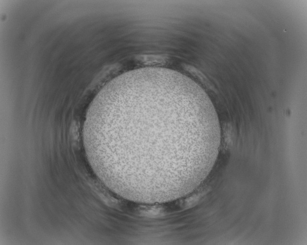 X0000083010667200702231814