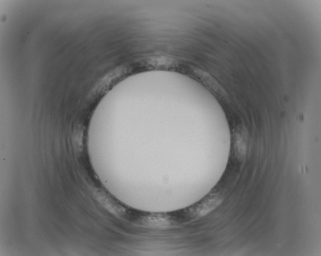 X0000083010668200702231814